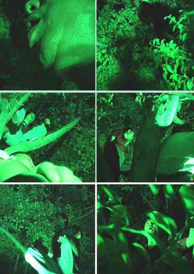 Chicken Speak to Duck, Pig Speak to Dog Poster