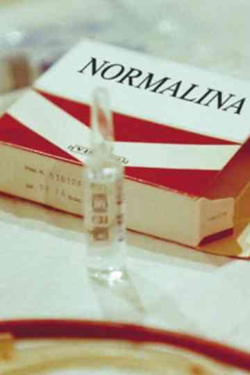 Dinni e la Normalina, ovvero la Videopolizia Psichiatrica contro i sedicenti Gruppi di Follia Militante Poster