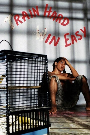 Bad Boy  Rennen am Äquator