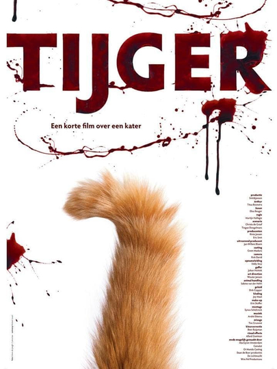 Tijger Poster