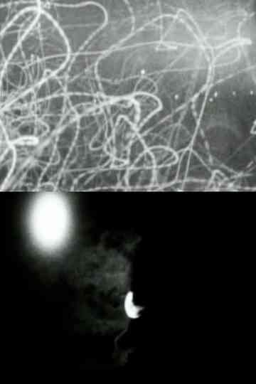 D - Non diversi giorni si pensa splendessero alle prime origini del nascente mondo o che avessero temperatura diversa Poster