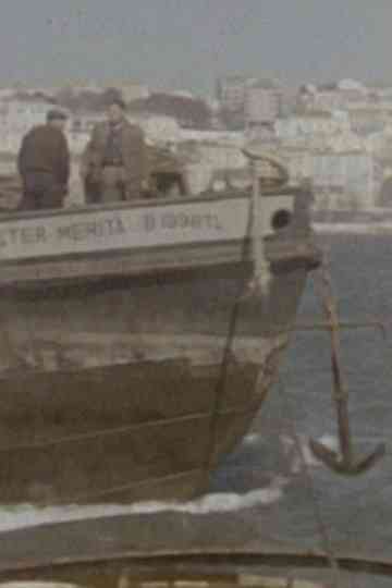 Tráfego e Estiva Poster