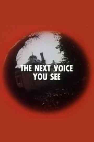 The Next Voice You See poster