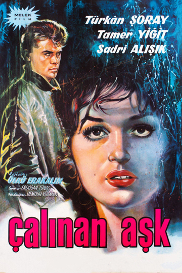 Çalınan Aşk Poster