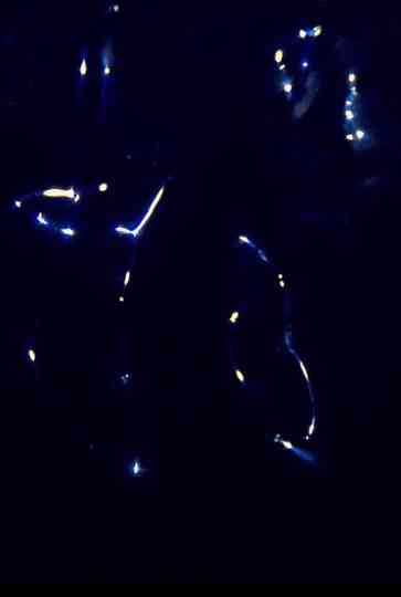 Born to be Yves Klein Blue Poster