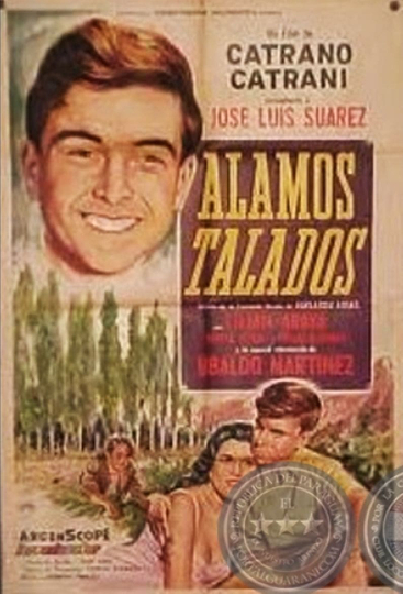 Álamos talados Poster