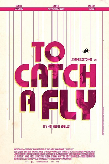 To Catch a Fly Poster