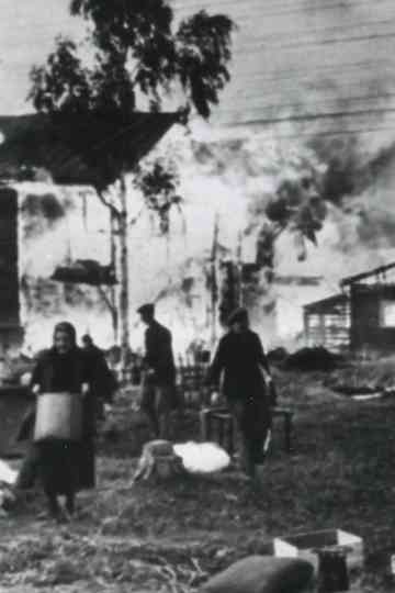 Burnt in Memories poster