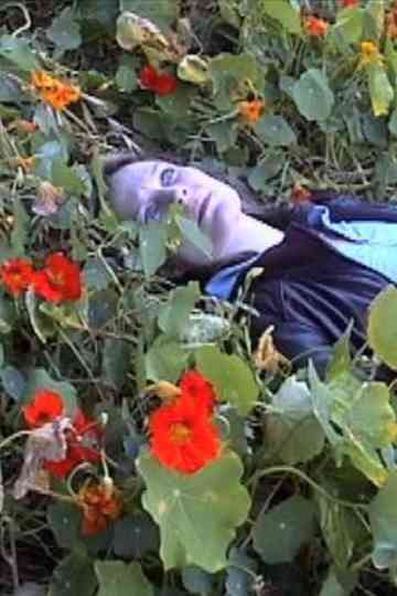 A Brief Summer’s Tale Poster