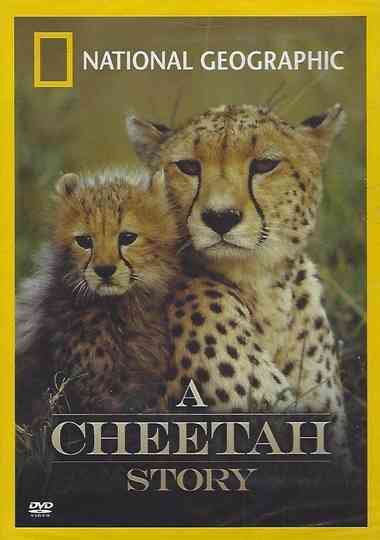 Cheetah Story Poster