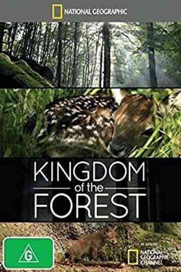 Kingdom of the Forest Poster