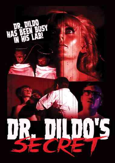 Dr. Dildo's Secret Poster