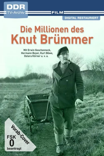 Die Millionen des Knut Brümmer Poster