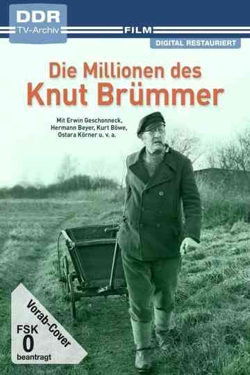 Die Millionen des Knut Brümmer Poster