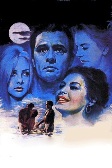 On the Trail of the Iguana