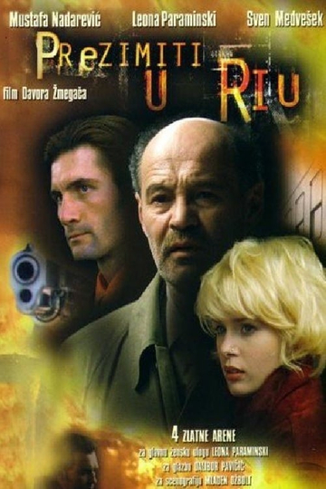 Winter in Rio Poster