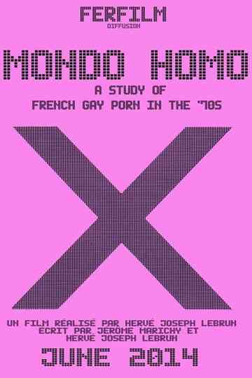 Mondo Homo: A Study of French Gay Porn in the '70s Poster
