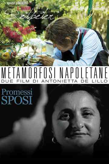 Metamorfosi Napoletane Poster