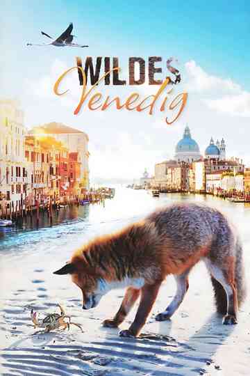 Wild Venice poster