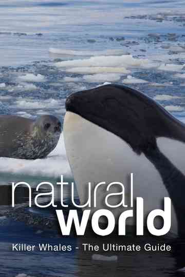 Killer Whales - The Ultimate Guide Poster