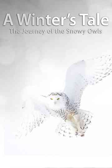 A Winters Tale The Journey Of The Snowy Owls Poster