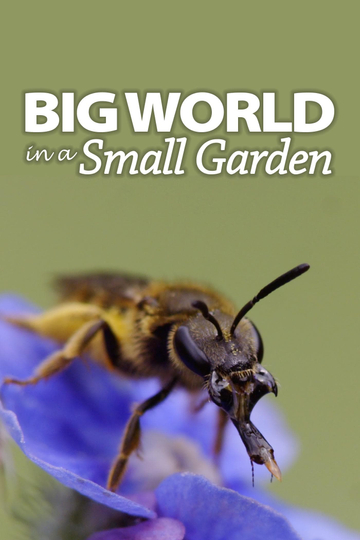 Big World In A Small Garden