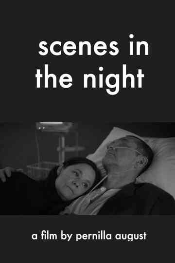 Scenes in the Night Poster