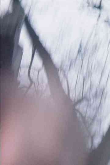 Sensitométrie IV Poster