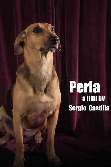 Perla Poster