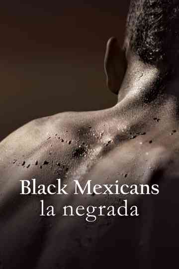 Black Mexicans poster