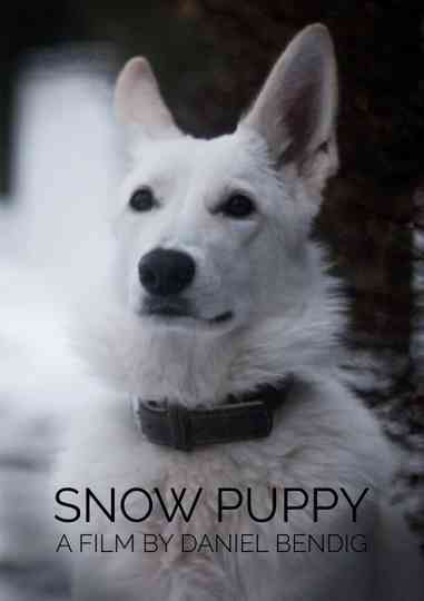 Snow Puppy Poster