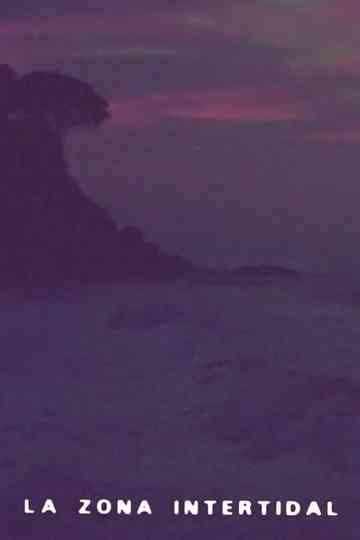 Intertidal Zone Poster