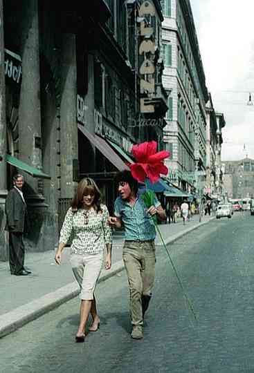 La sequenza del fiore di carta Poster