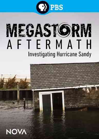 Megastorm Aftermath