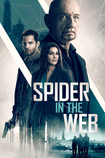 Spider in the Web Poster