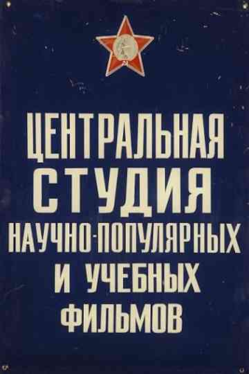 The Magnet Has Secrets Poster