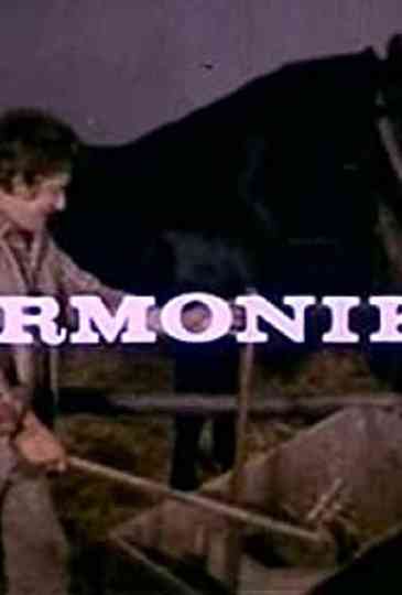 The Accordion Poster