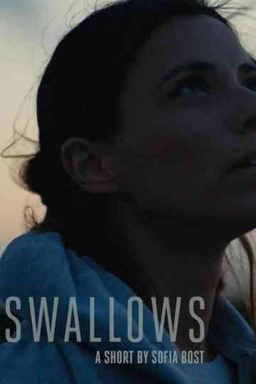 Swallows Poster