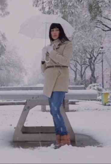 La Vie parisienne Poster