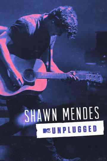 Shawn Mendes MTV Unplugged Poster