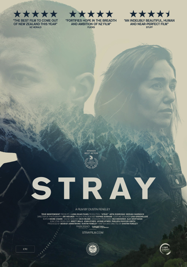 Stray Poster