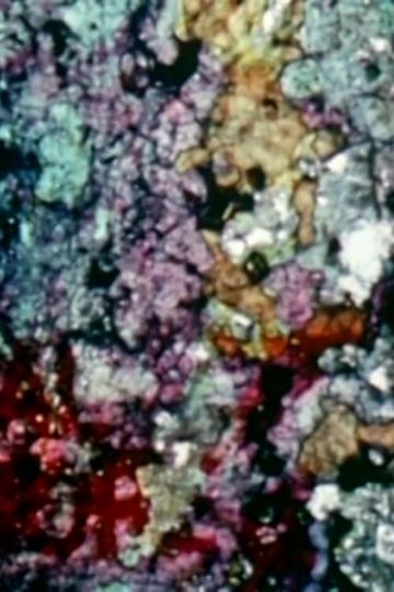 Le tombeau dAphrodite  Version 2