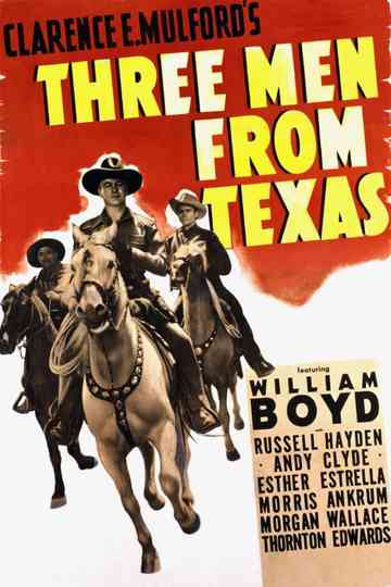 Three Men from Texas poster