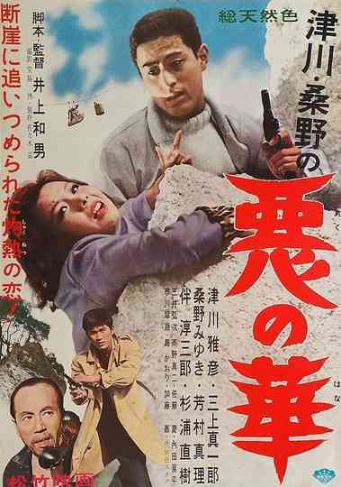 Incidental Murders Poster