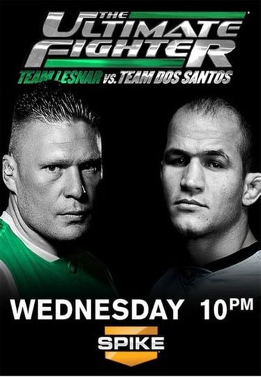 Team Lesnar vs. Team dos Santos