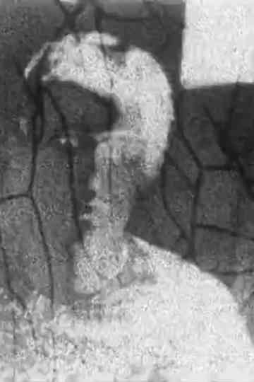 Autoportrait refilmé Poster