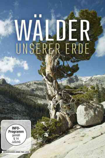 Wälder unserer Erde Poster