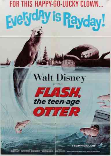 Flash The Teenage Otter Poster