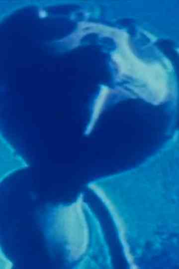 Journaux 19831985 Poster