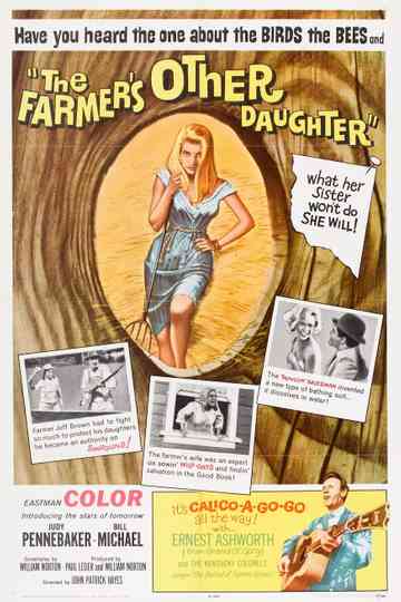 The Farmers Other Daughter